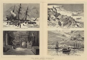 Eira arktiske ekspedisjon